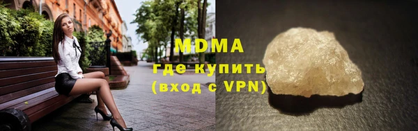хмурый Аркадак