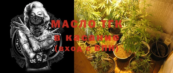 хмурый Аркадак