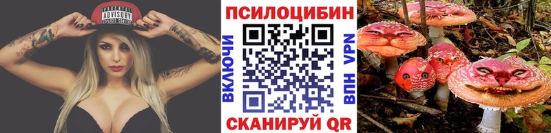 купить наркотики сайты  hydra ONION  Галлюциногенные грибы MAGIC MUSHROOMS  Струнино 
